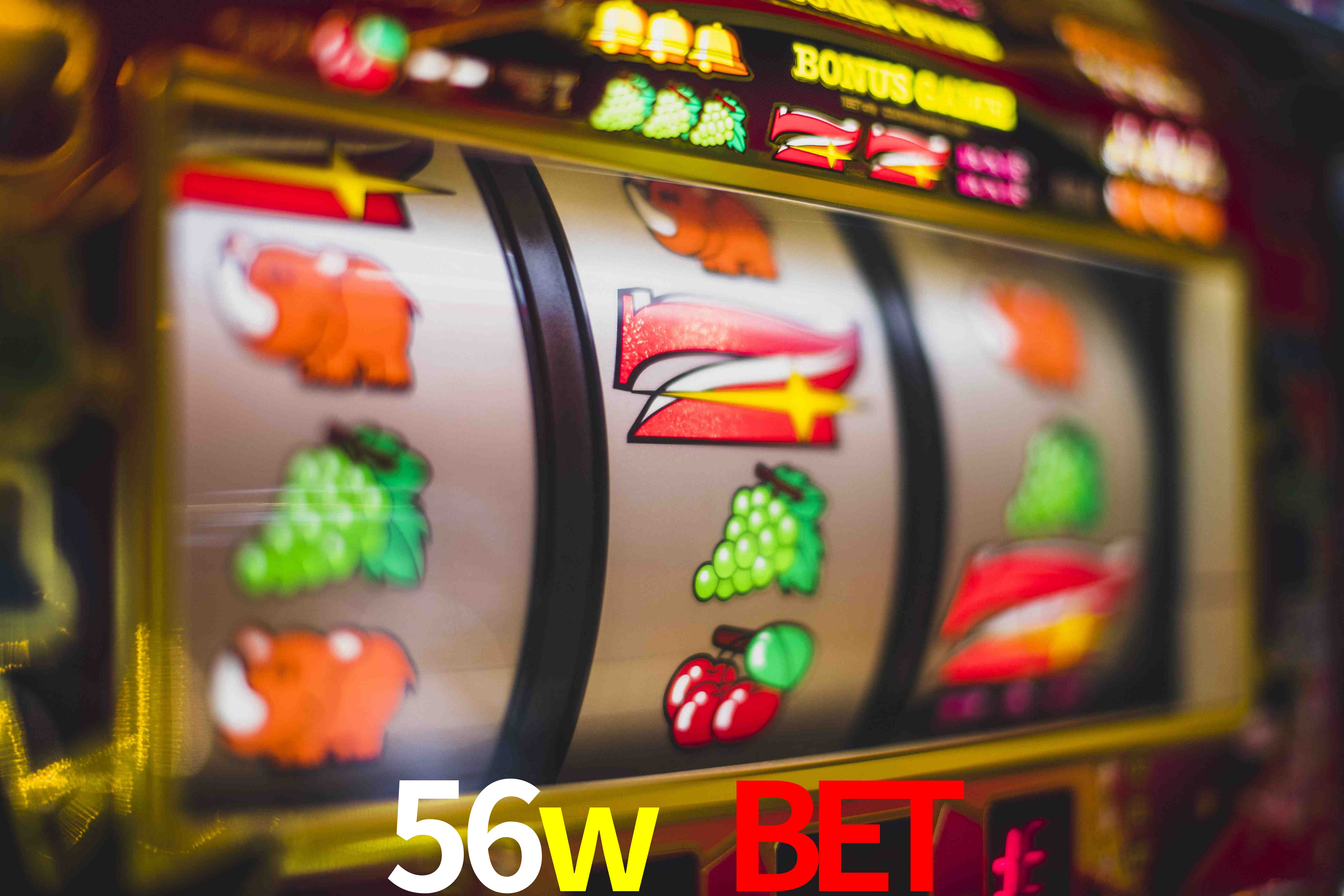 Tennis Betting 56w bet